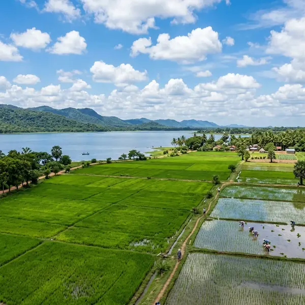 Kilinochchi District Sri Lanka